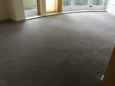 grey carpet